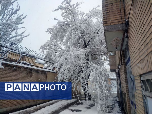 بارش دل‌انگیز برف‌ در اولین روزهای بهمن ماه