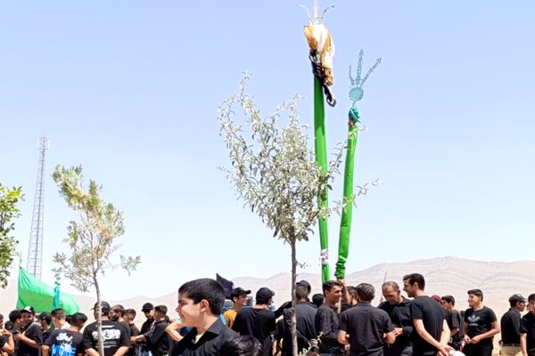 عاشورای حسینی در روستای گزکوه