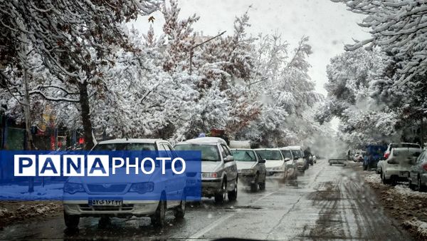 وقتی زمین زیر لحاف سفید برف به خواب میرود