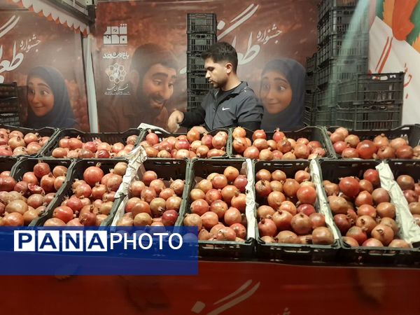 طعم و رنگ پاییز در باغ مشهد