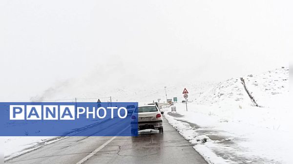 صبحی که خورشید جایش را به برف داد