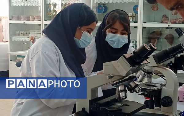 ۳۰ تیم دانش‌آموزی در مرحله استانی بیست و سومین دوره از مسابقات آزمایشگاهی به رقابت پرداختند