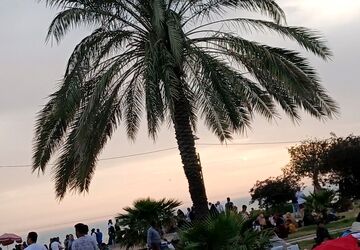 روز طبیعت در بوشهر