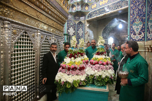 گل آرایی ضریح مطهر حضرت معصومه(س) در شب میلاد امام رضا(ع)