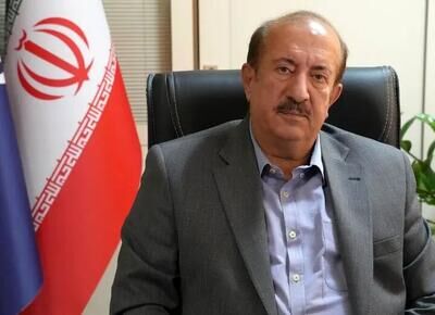 عرضه و واردات خودرو ادامه دارد/ مشکل فولاد و ارز نداریم