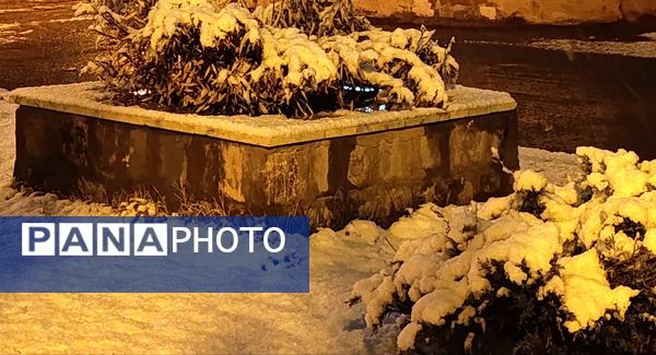 رحمت الهی برف بهاری بر دیار سلسله الذهب