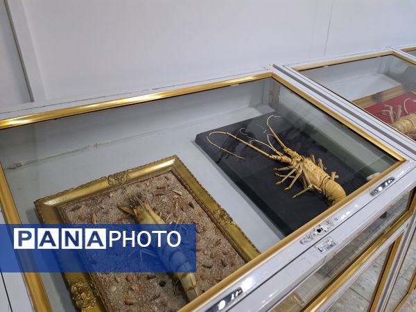 بازدید دانش‌آموزان از موزه زمین شناسی و جانور شناسی دانشگاه فردوسی مشهد