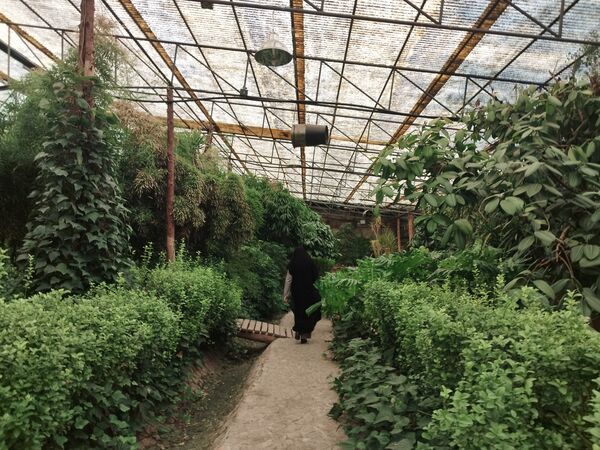 اردوی علمی تفریحی خبرنگاران پانای استان اصفهان