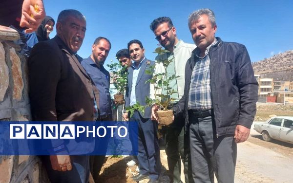 کاشت گل و گیاه در شهر منج، راهی برای احیای زمین