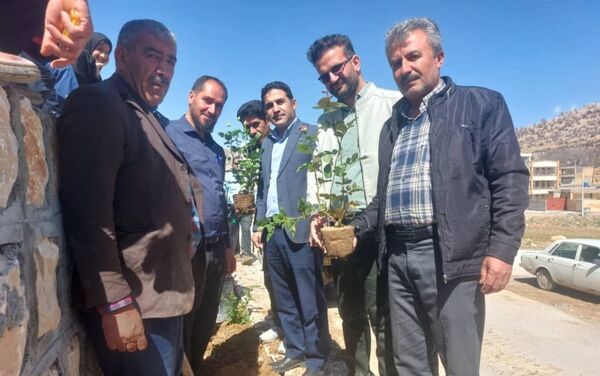 کاشت گل و گیاه در شهر منج، راهی برای احیای زمین