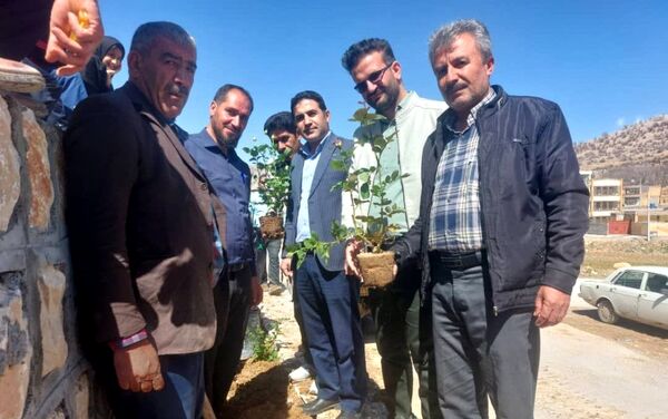 کاشت گل و گیاه در شهر منج، راهی برای احیای زمین
