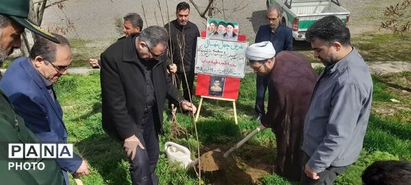 غرس نهال مثمر در کانون فرهنگی هنری شهید فهمیده مرند 