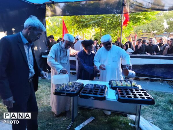 ایران متحد؛ شکوه حضور علمای اهل‌ سنت در بدرقه رهبر شهید