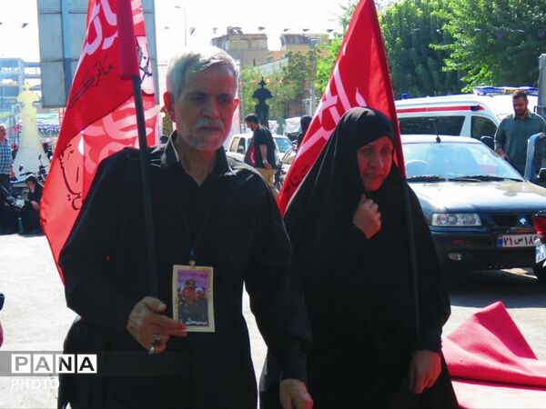 نبض دلتنگی در مسیر عاشقی