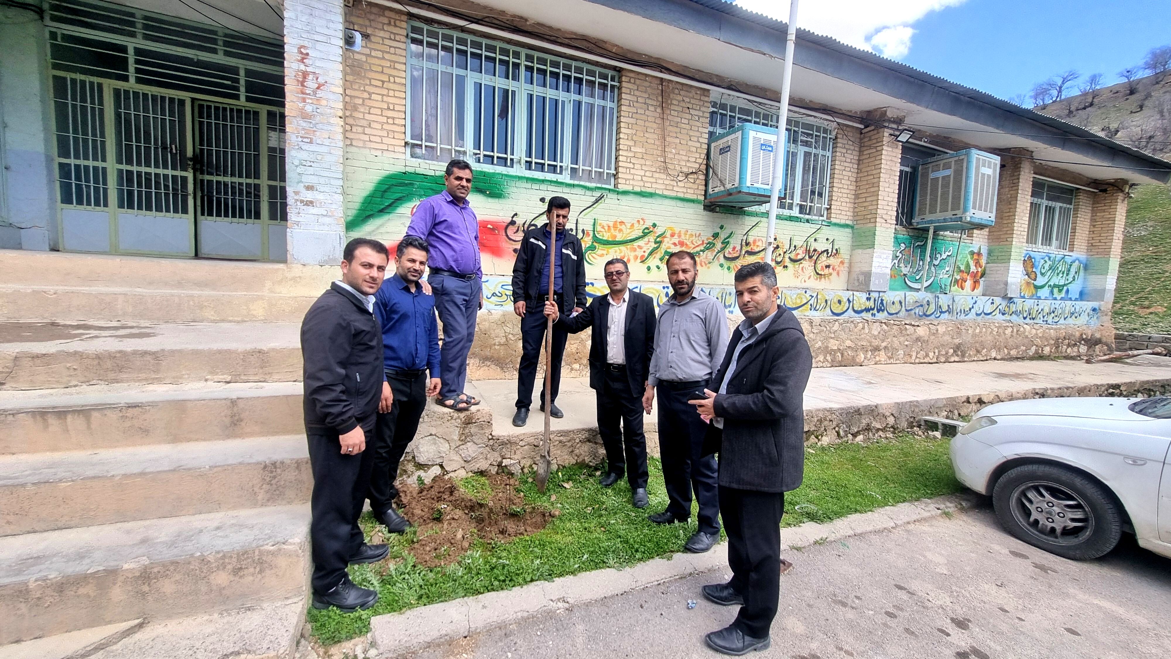 گرامیداشت هفته منابع طبیعی با کاشت درخت در حیاط اداره آموزش و پرورش میانکوه