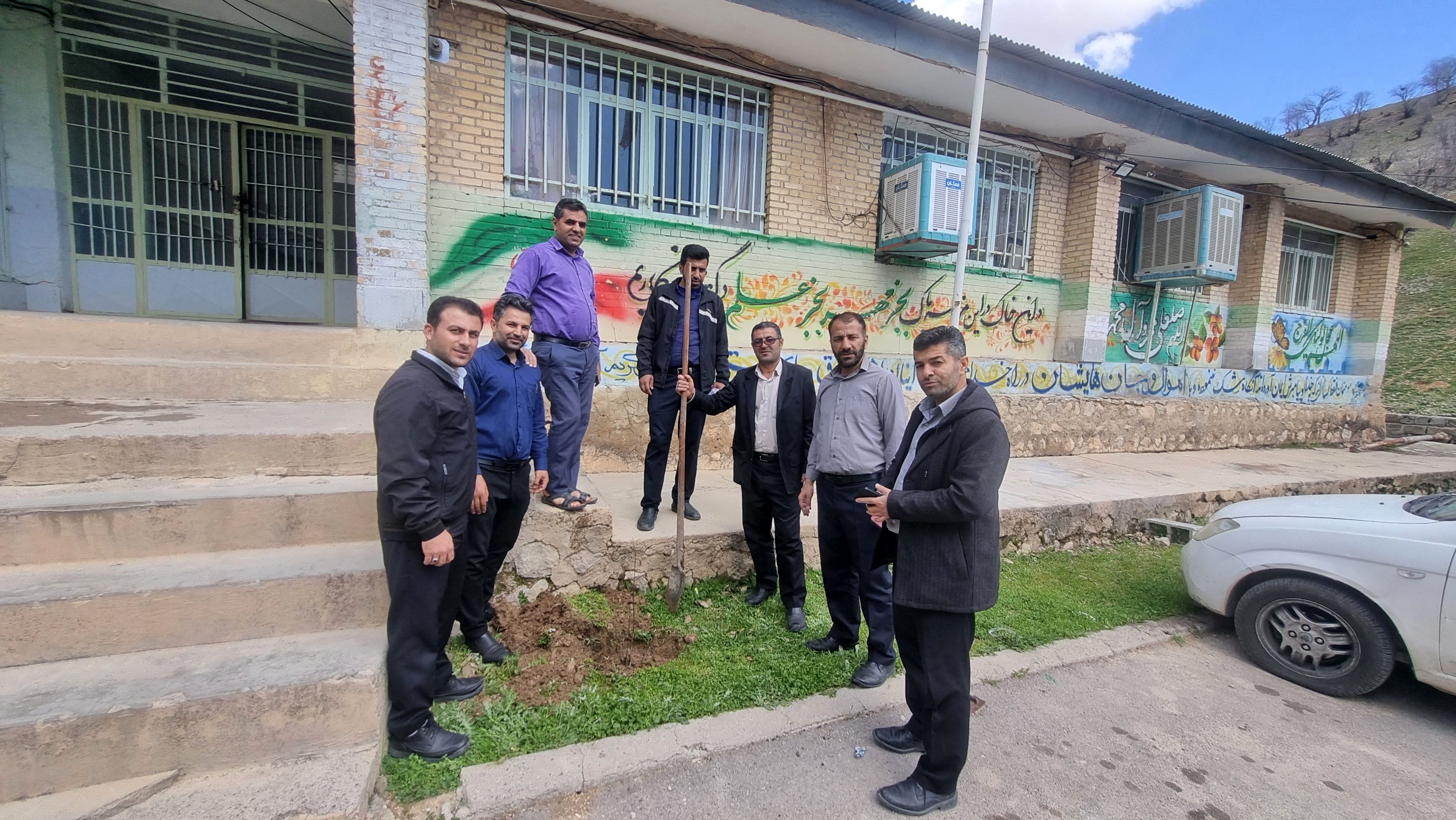 گرامیداشت هفته منابع طبیعی با کاشت درخت در حیاط اداره آموزش و پرورش میانکوه