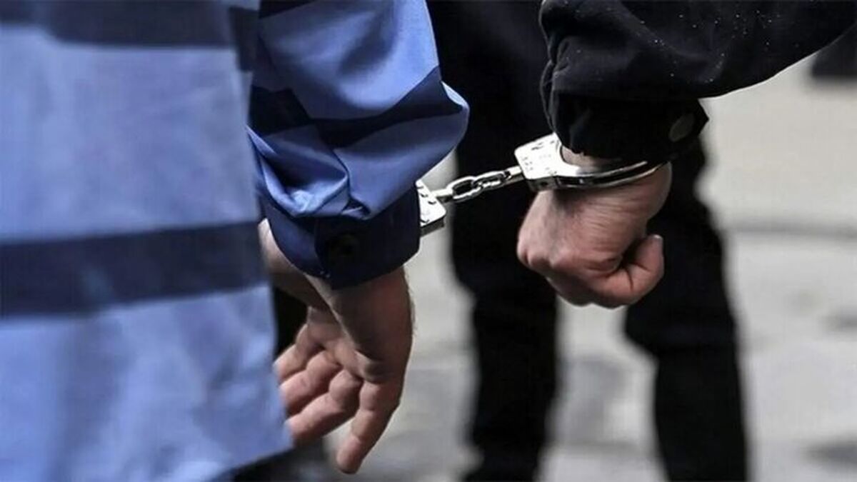 دستگیری ۶۸۹ سارق و کشف بیش از یک هزار سرقت