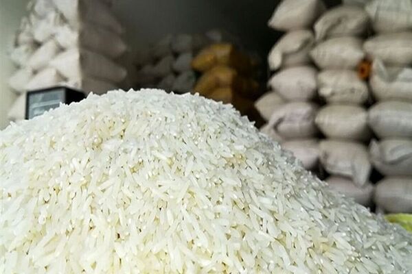 لغو ممنوعیت واردات برنج در فصل برداشت