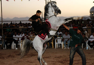«شو سواره و دست‌گردان هوتک به مناسبت ولادت پیامبر (ص) برگزار شد