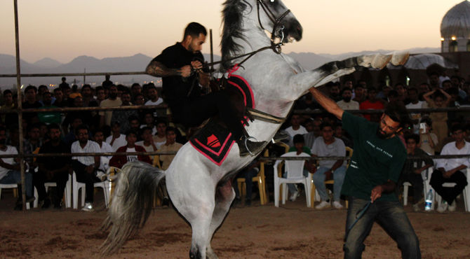 «شو سواره و دست‌گردان هوتک به مناسبت ولادت پیامبر (ص) برگزار شد