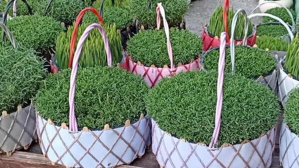 حال و هوای بازار عید نوروز در محمودآباد 