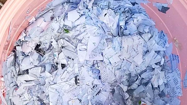 طرح متا؛ فرصتی برای شکوفایی خلاقیت و آفرینش آثار هنری