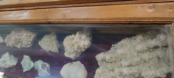 برگزاری اردوی علمی دانش‌آموزان مدرسه سعادت در دانشگاه هرمزگان