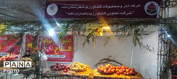 جشنواره انار تفت