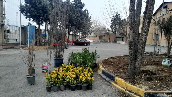 دختران ورزشکار ملاردی با کاشت نهال، آینده‌ای سبزتر برای زمین رقم می‌زنند