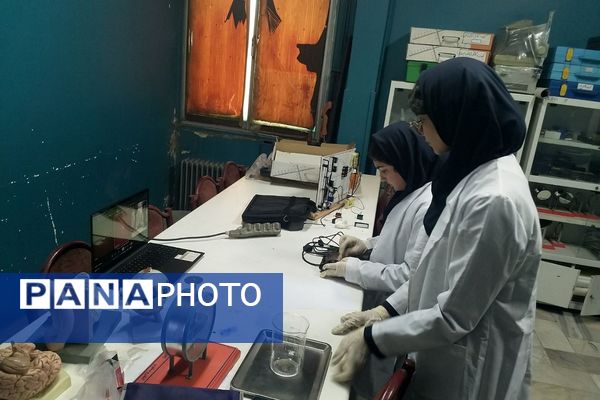 برگزاری جشنواره خوارزمی در پژوهشسرای بصیرت یک ناحیه دو شهرری 