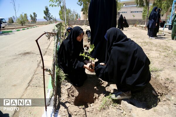آیین کاشت 168 نهال به یاد دانش‌آموزان شهید میناب در اردوگاه 15خرداد قم