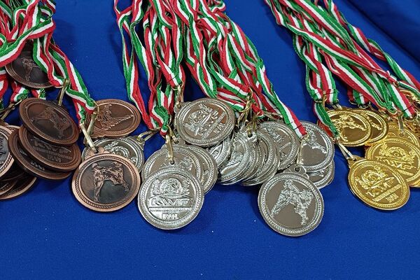 کسب مدال در مسابقات کشوری کاراته سبک کیوکوشین رده نونهالان توسط دانش‌آموزان ورامینی