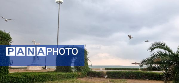 بارش باران چهره بندرعباس را پاییزی و دل‌انگیز کرد