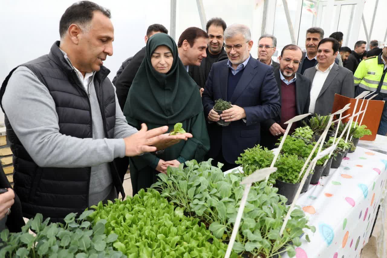توسعه گلخانه‌های پایدار، راهبردی برای تولید، اشتغال و کشاورزی نوین است