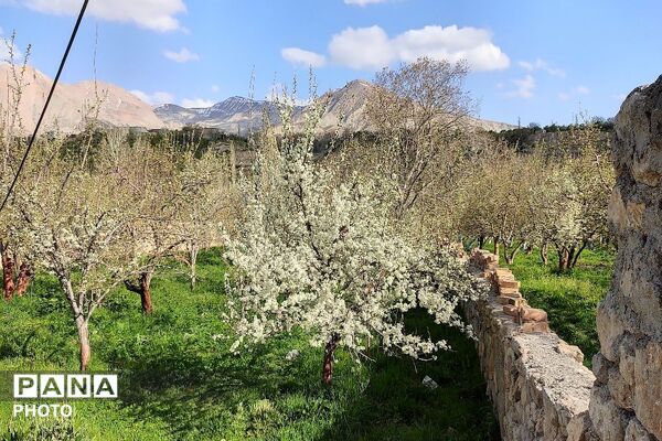 آلبوم تصویری از طبیعت زیبای شهر بار در اردیبهشت‌ماه  ۱۴۰۵ -1