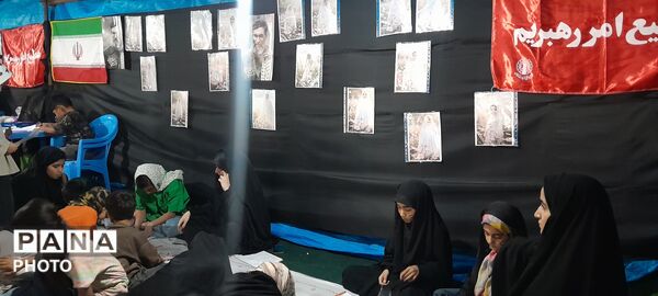 تجمع دفاع از انقلاب مهدوی