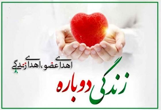 با فرارسیدن روز اهدای عضو، این عمل انسان دوستانه بار دیگر ناجی جان‌ها می شود
