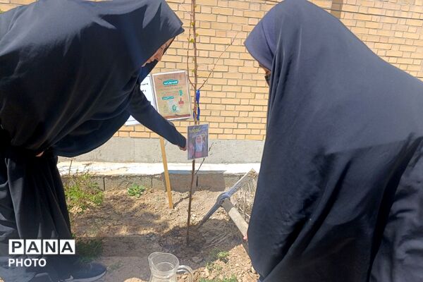 یادِ سبزِ شجره طیبه، در دلمان شکوفا شد