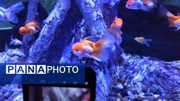 اردوی علمی تفریحی خبرنگاران پانای استان اصفهان