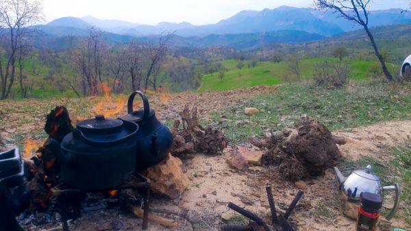 طبیعت بهاری، فرصتی برای سرزندگی روح 