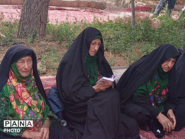 حضور دوستداران اهل بیت در رحلت پیامبر اکرم و شهادت امام حسن مجتبی