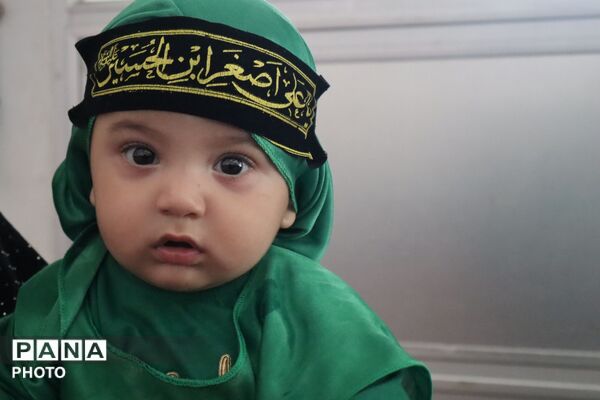 اجتماع عاشقان کوچک؛روایت شیرخوارگان حسینی