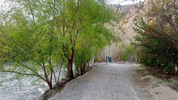 فصل بهار، فرصتی برای سر زندگی روح
