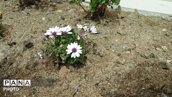 دالان بهشت شهر گهرو ؛نگین گردشگری منطقه