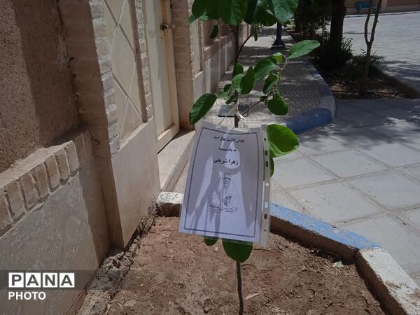 کاشت نهال امید در دبستان دخترانه شاهد پوررضایی ناحیه دو یزد