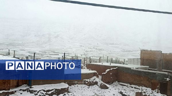 نسر در آغوش برف بهاری؛ زیبایی طبیعت دوچندان شد 