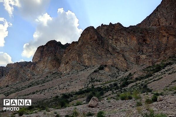 کوه های شهر بار ذخیره‌گاه گیاهان ارزشمند و کم نظیر دارویی 