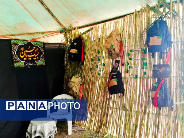 پیاده‌روی جاماندگان اربعین در میاندورود 