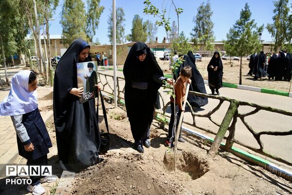 آیین کاشت 168 نهال به یاد دانش‌آموزان شهید میناب در اردوگاه 15خرداد قم