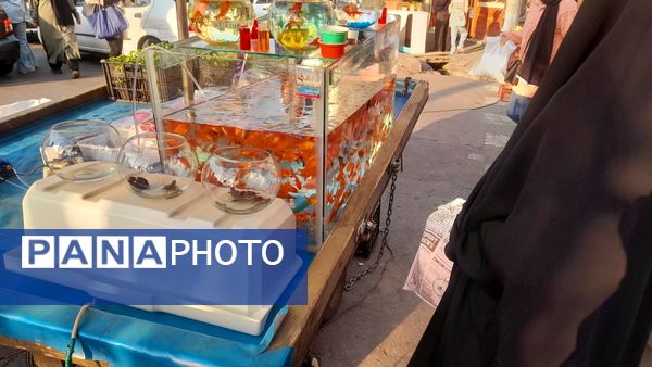  بازار منطقه ۱۸ با حال و هوای بهار نوروزی 